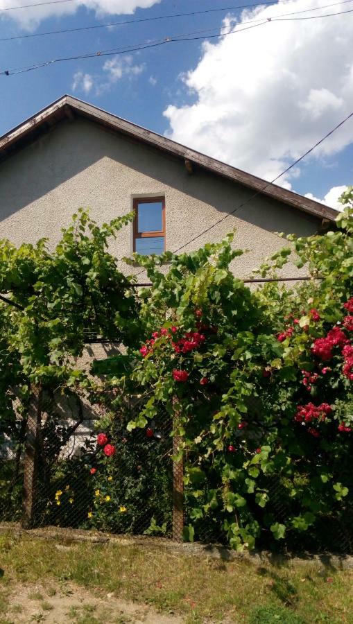 Къща Джулия Villa Sapareva Banya Ngoại thất bức ảnh